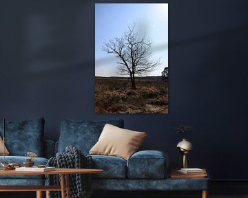 Dorre arbre sur la lande