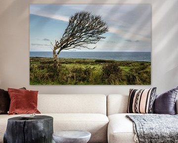 Buigende boom in Ierland van Bo Scheeringa Photography