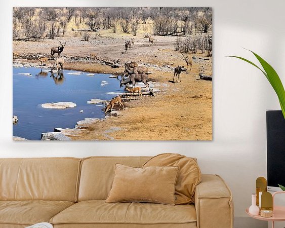 Aperçu de la chambre