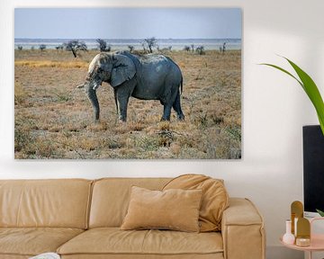 The Elephant by Merijn Loch