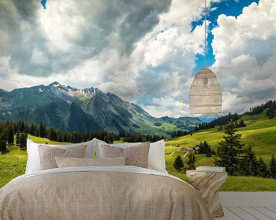 Aperçu de la chambre