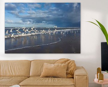 Fris beeld van Noordzee meeuwen op het strand van Geert van Kuyck - izuriphoto