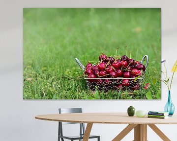 Red fresh cherries on a meadow by Ulrike Leone