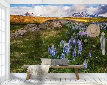 Lupines in Iceland by Daniela Beyer