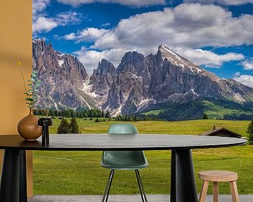 Alpe Di Siusi - Seiser Alm - Dolomiten - Italien von Teun Ruijters