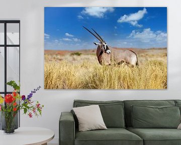 Oryx van Tilo Grellmann | Photography