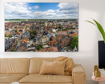 View over Leuven by Joost Potma