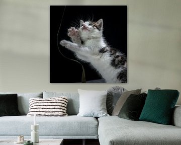 Ensor de kat speelt met een lint