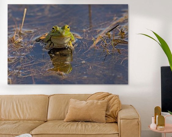 Aperçu de la chambre