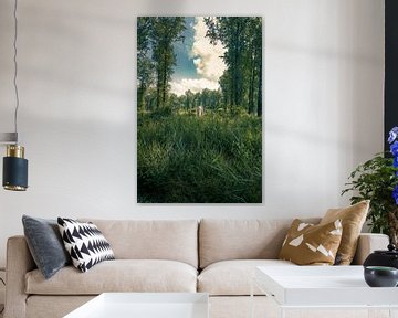 Lonely tree in the Leeuwarden forest in Leeuwarden by Geert Jan Kroon