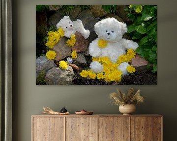 Witte Teddyberen van Claudia Evans