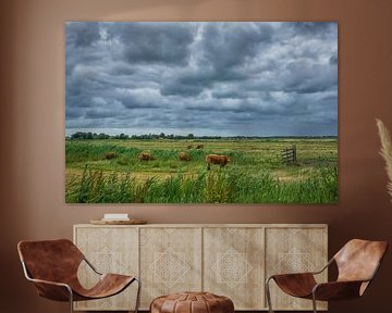 Cows under a cloudy sky by Peet Romijn