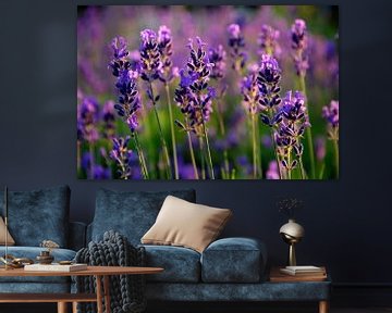 Lavendel in bloei van PvdH Fotografie