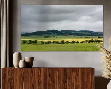 Landschaft Vogesen von PvdH Fotografie