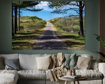 De weg naar het strand van Mandy Metz