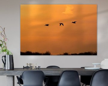 Oranje zonsondergang silhouet van Björn van den Berg
