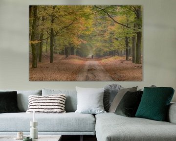 Beukenlaan in Ede, Niederlande, Naturgebiet Planken Wambuis von Eric Wander