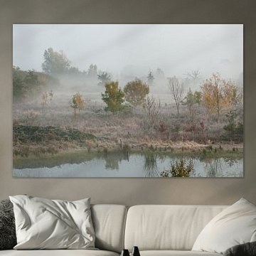 Brouillard dans le Ooijpolder