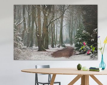 Schnee im Speulderbos von Nancy van Verseveld