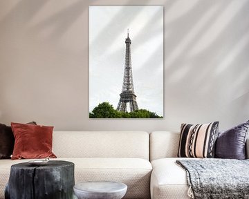 Eiffeltoren Parijs vanaf de Seine
