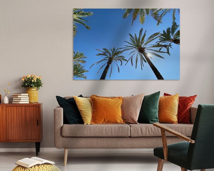 Impression: Les palmiers ensoleillés sur Markus Jerko
