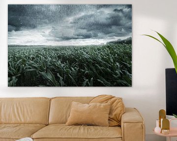 Cornfield in stormy weather by Besa Art