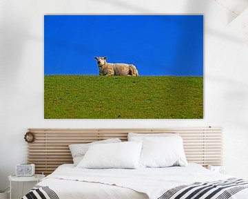 Sheep on dike by W. Hovinga
