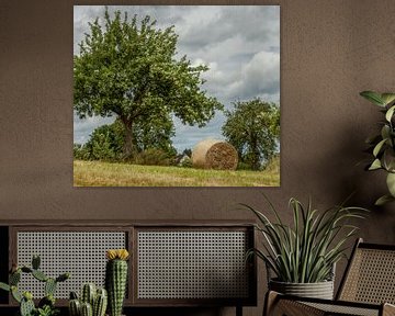 Hay bales in South Limburg by John Kreukniet