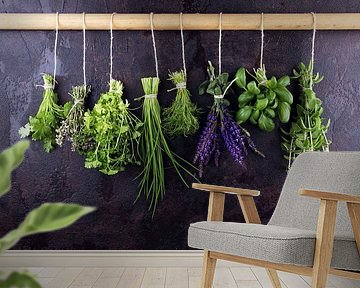 Fresh herbs hang against a rustic background. Basil, sage, thyme, oregano, dill, chives, parsley and by Beats