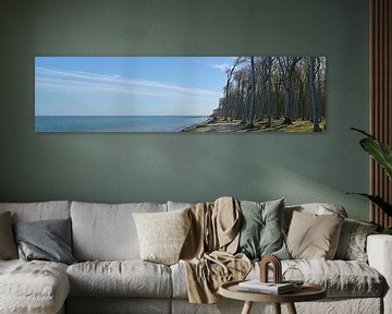 Oud beukenbos aan de kust van de Oostzee bij Nienhagen in het voorjaar, in Duitsland Gespensterwald 