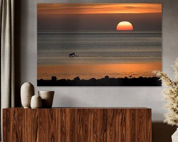 Glücklicher Hund als Silhouette läuft im Sonnenuntergang über das Wattenmeer der Nordsee in Deutschl von Maren Winter