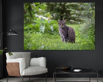 tabby kat zit in het gras in een tuin en kijkt recht in de camera, groene achtergrond met kopieerrui van Maren Winter