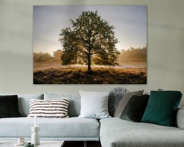 L'arbre magnifique sur Epic Photography