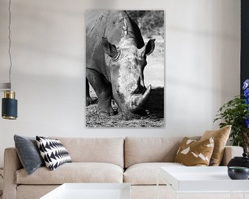 Namibian Rhino by Carmen de Bruijn
