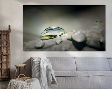 In balance by Jan van der Knaap