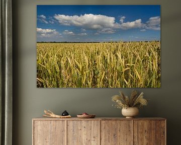 Wheatfield von M DH