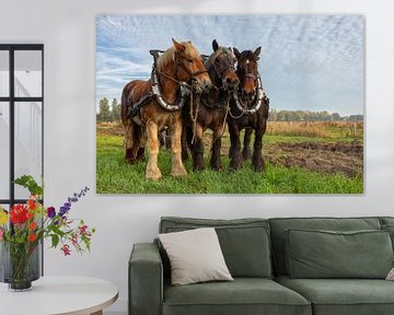 Trekpaarden op een akker van Bram van Broekhoven