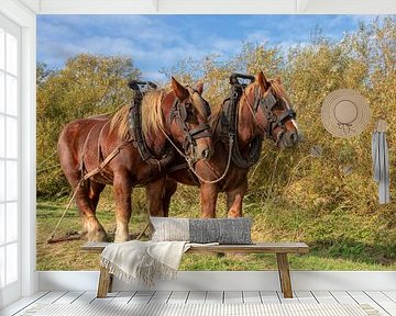 Werkpaarden van Bram van Broekhoven