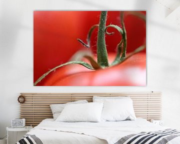 macrofoto van een tomaat met de groene stengel, voedingsachtergrond met kopieerruimte, geselecteerde van Maren Winter