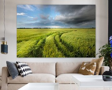 An einem warmen Sommerabend ziehen dunkle Wolken über die Getreidefelder im Hoge-Land Groningen von Bas Meelker