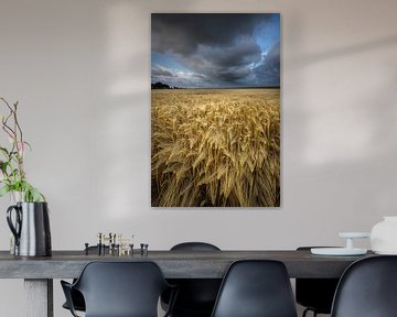 Grain fields Groningen - Dark clouds float over the grain fields in the Hoge Land of Groningen durin by Bas Meelker