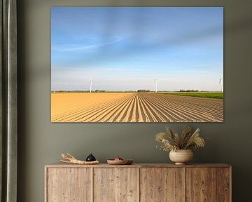 Freshly plowed potato field with straight line pattern and diminishing perspective by Sjoerd van der Wal Photography