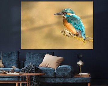 IJsvogel in goud van Elles Rijsdijk