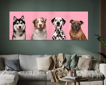 Vier knappe honden portretten van Elles Rijsdijk