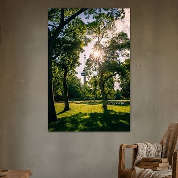 Euromast durch die Bäume des Parks