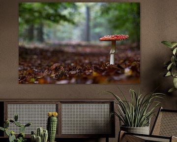 Herbst in den niederländischen Wäldern von Eric Wander