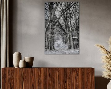 Winter in den niederländischen Wäldern von Eric Wander