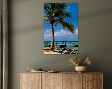 Palm tree on the beach at Kokomo Beach by Paul van Putten