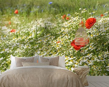 Zonnige zomerweide met bloeiende klaprozen, veel kamille of witte madeliefjes en korenbloemen, mooie van Maren Winter