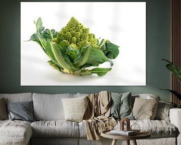 Romanesco broccoli of Romeinse bloemkool geïsoleerd op een witte achtergrond, groene groente, biolog van Maren Winter